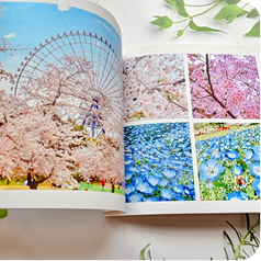 スタートコース